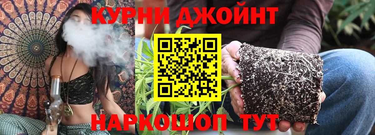 Конопля LSD WEED Выкса